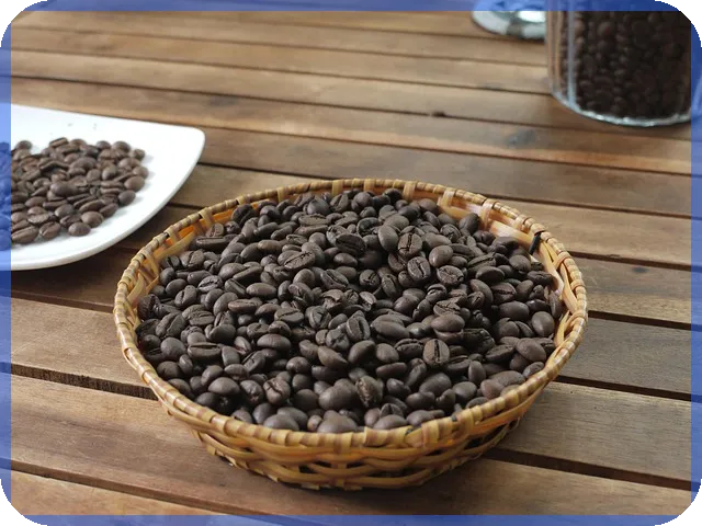 김포지식산업센터 할리스 카페 완벽 가이드