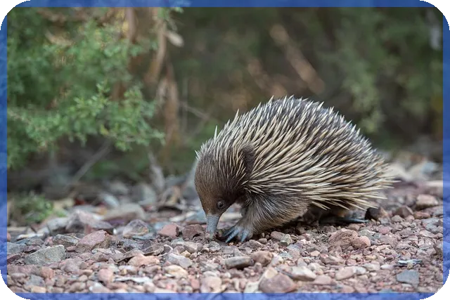 냉천지구 재개발 핵심 추진 현황 알아보기