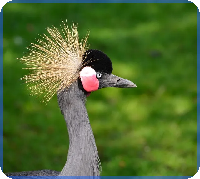 냉천지구 재개발 핵심 추진 현황 알아보기