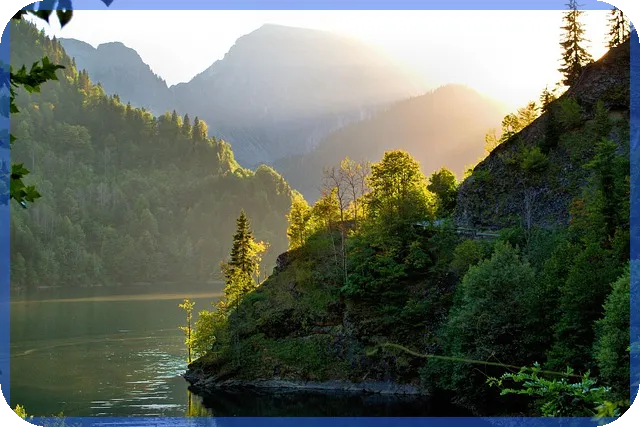 농협 전세대출 금리 현황과 최신 트렌드 분석