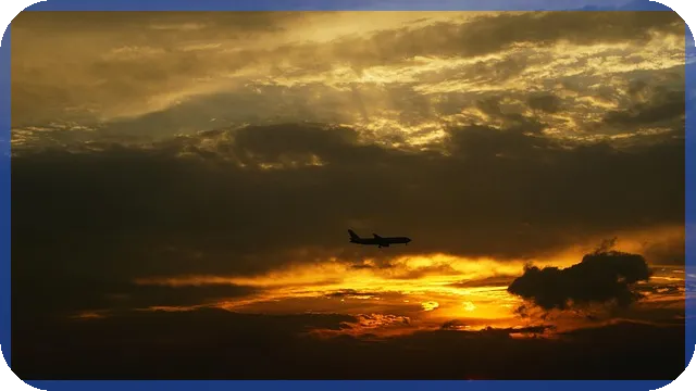 농협 전세대출 금리 현황과 최신 트렌드 분석