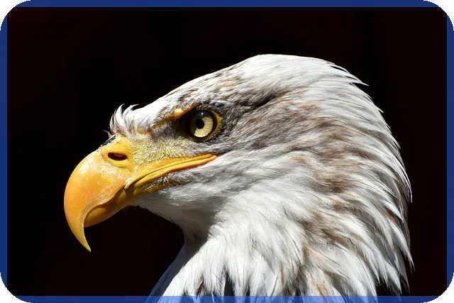 대출 상환 계산기로 빠르고 쉬운 대출 상환 계획 세우기