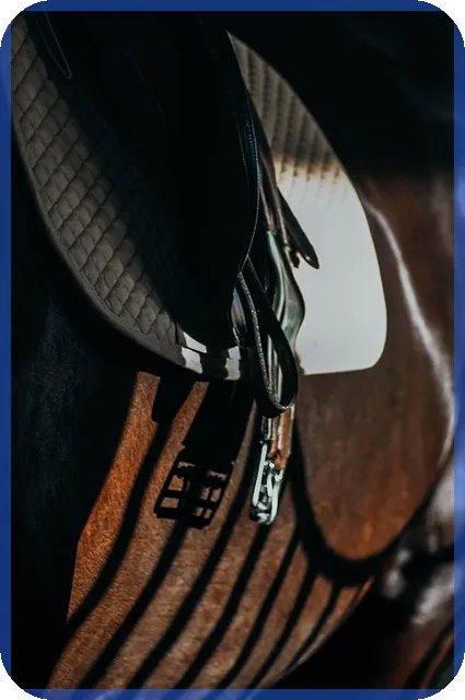 디딤돌 대출 청약통장 활용법과 주택구입 성공 전략