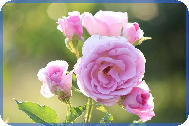 디딤돌대출 조건 총정리와 신청 노하우 알아보기