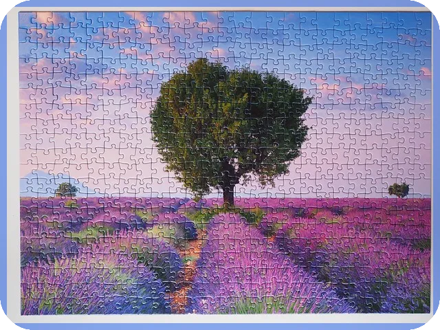 디딤돌대출 조건 총정리와 신청 노하우 알아보기