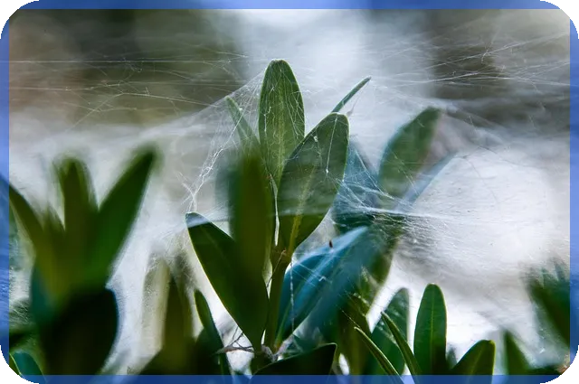 루카831 강남 하이엔드 오피스텔 분양 성공 전략은?