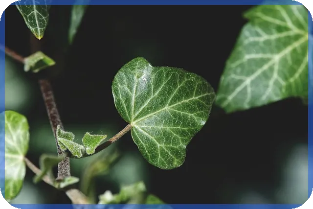 마을기업으로 지역경제 혁신을 이끄는 방법은 무엇인가