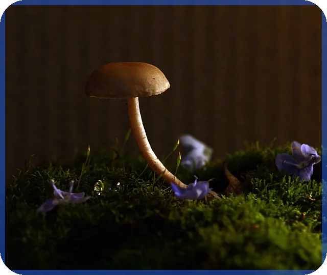 배달대행세금 절세 전략과 신고 가이드