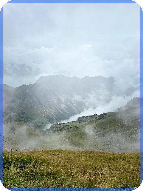 사찰매매 시장 동향과 최적 매물 찾기