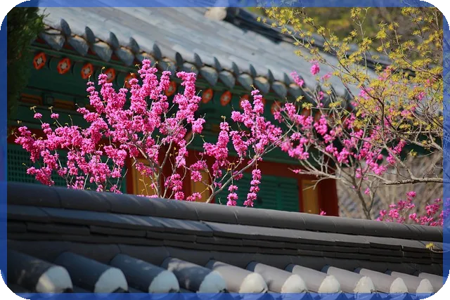 사찰매매 시장 동향과 최적 매물 찾기