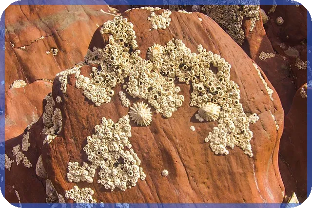 사찰매매 시장 동향과 최적 매물 찾기