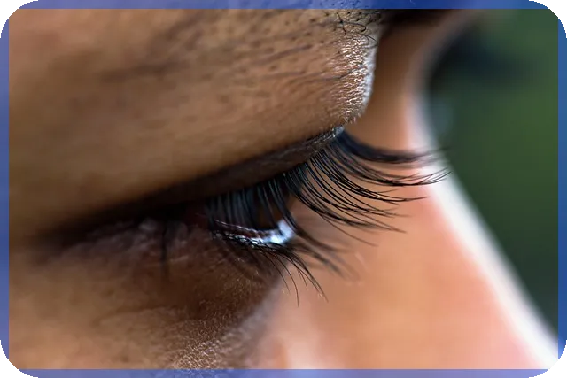 사찰매매 시장 동향과 최적 매물 찾기