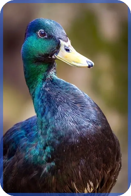 신한은행 전세대출 금리 최대 혜택과 조건 완전 정복