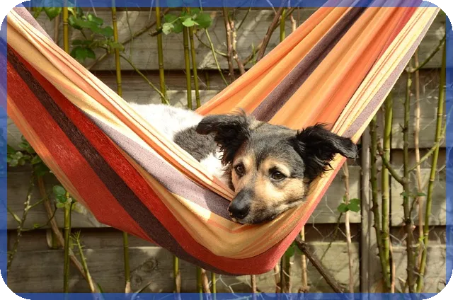 신한은행 주택담보대출 금리 최신 동향과 신중한 선택법