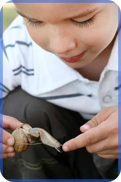 울산에일린의뜰2차 혁신과 프리미엄을 경험하는 삶