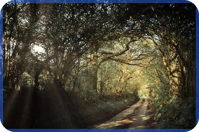 이주자택지란 무엇이며 혜택과 조건은 무엇일까