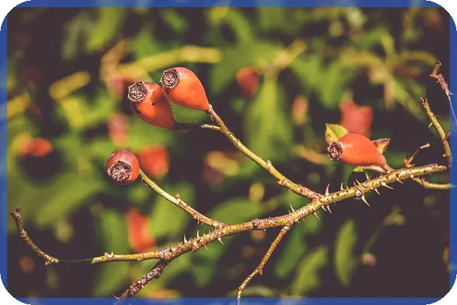 일상회복특별융자 받는 방법과 활용 전략