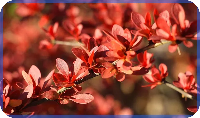 일상회복특별융자 받는 방법과 활용 전략