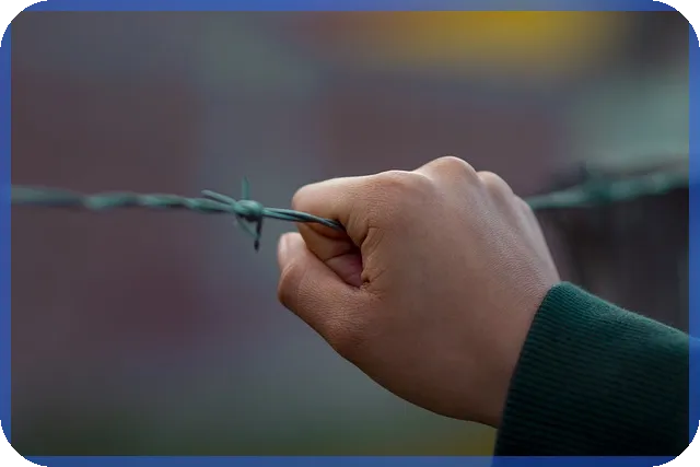 전세자금 대출 폐지 필요성으로 본 부동산 시장 안정 전략