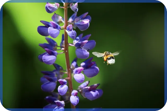 평택고덕트라반트푸르지오시티 입지와 생활편의 인기 비결은?