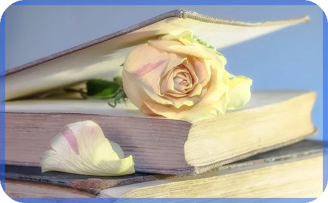 평택고덕트라반트푸르지오시티 입지와 생활편의 인기 비결은?