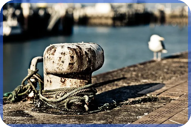 포항한화포레나 역세권 아파트 분양권 매물 분석