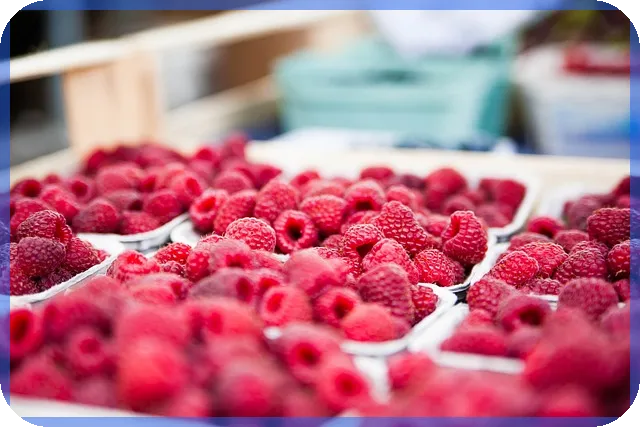 홍채인식관련주 투자전략 핵심 분석과 전망