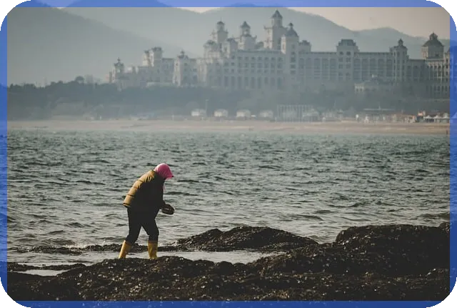 홍채인식관련주 투자전략 핵심 분석과 전망
