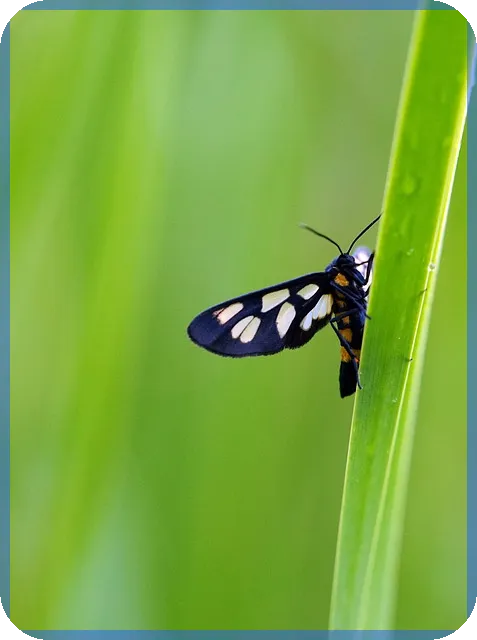 화성서희스타힐스 분양소식 역세권 대단지 주거환경 관심 증폭