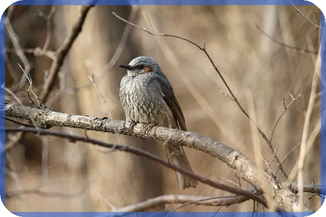 화성서희스타힐스 분양소식 역세권 대단지 주거환경 관심 증폭