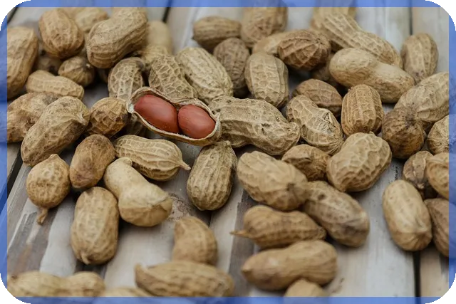 2억 대출 이자 30년 어떻게 계산하나요