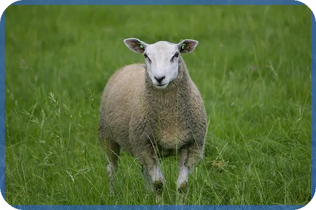 2억 대출 이자 30년 어떻게 계산하나요