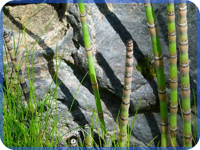 대출금 상환 계정과목 핵심 가이드와 최신 법령