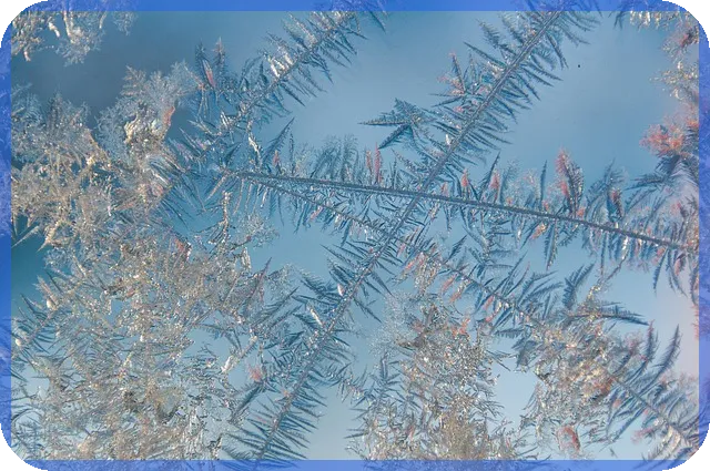 대출사기 개인회생, 사기죄 위험성 무엇일까