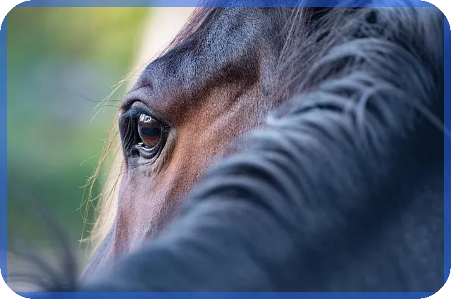 대출상담사 사기 의심, 알고 대처하자