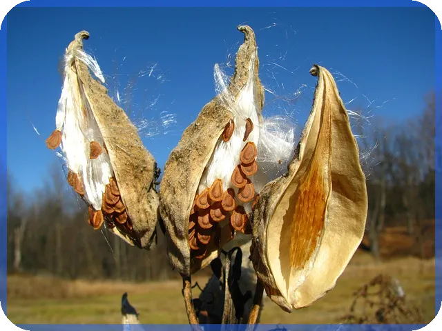 대출상환방법 종류와 선택 기준 알아보기