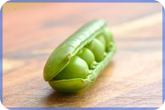 디딤돌 대출 중도상환 수수료 줄이는 법은?