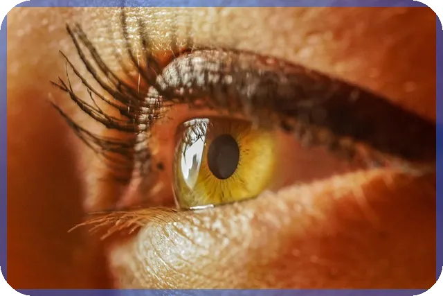 신혼부부 전세자금대출 한도와 조건 완전 정리