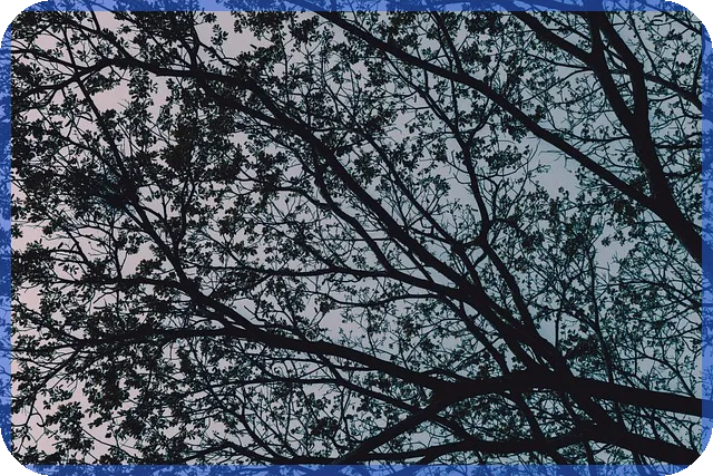 전세대출 조건 소득 얼마까지 가능할까