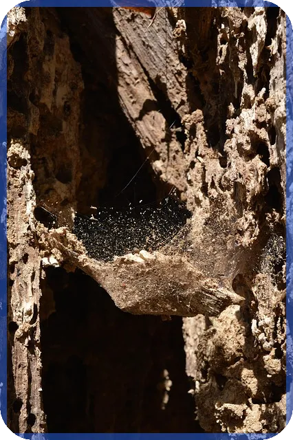 주택담보대출 변동금리로 나의 미래를 어떻게 설계할까