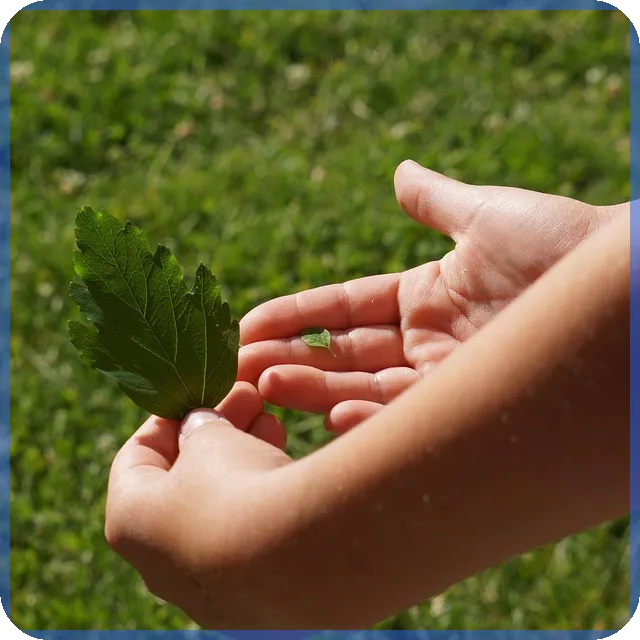 중고차캐스퍼 구매 후기와 팁 궁금하다