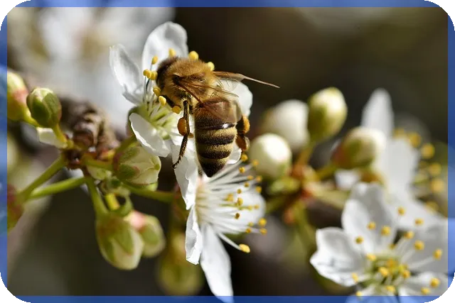 중고차캐스퍼 구매 후기와 팁 궁금하다