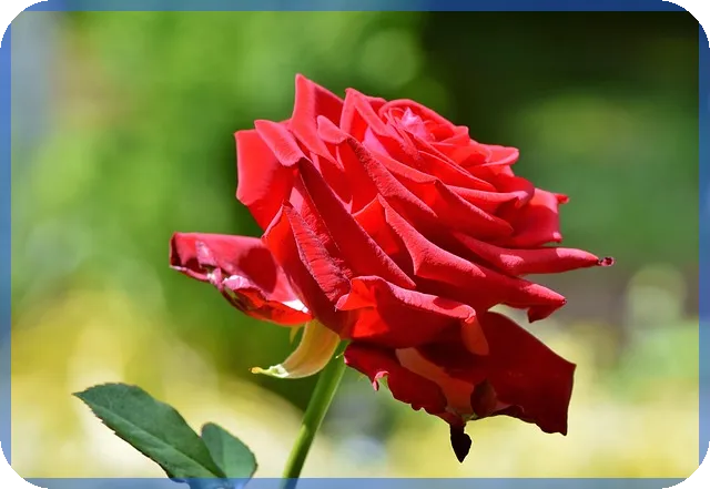 경매유료사이트 선택 전략과 탱크옥션 후기로 보는 최적의 사이트