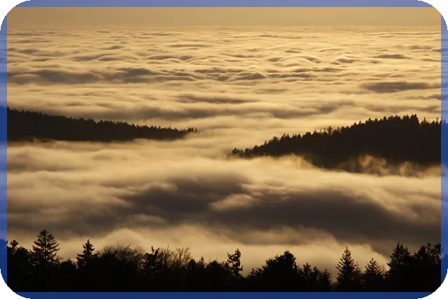 경차종류와 경차사랑카드 혜택으로 유류세 환급 받기