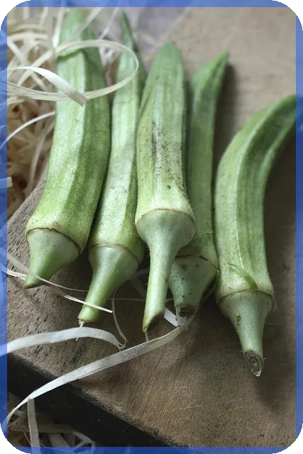 경차종류와 경차사랑카드 혜택으로 유류세 환급 받기