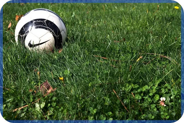 나이스론대부 자금 확보 비법 탐구