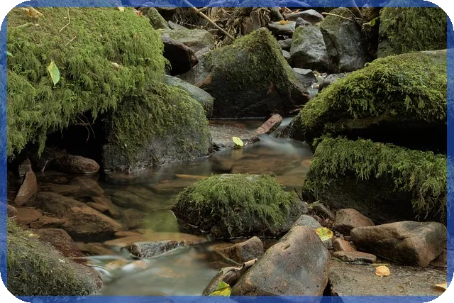 미국증시개장시간 실시간 전략과 휴장일 꼭 확인하세요