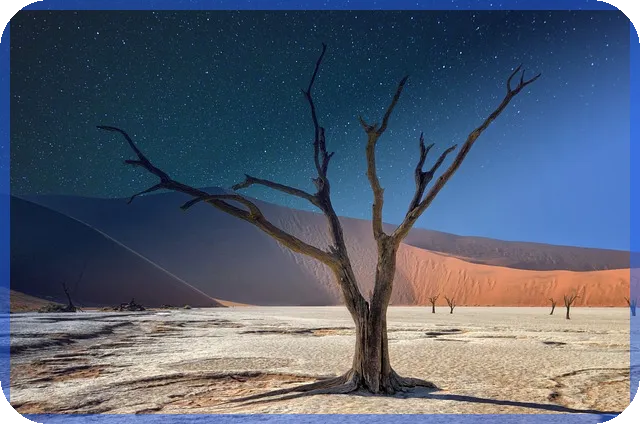 미국증시개장시간 실시간 전략과 휴장일 꼭 확인하세요