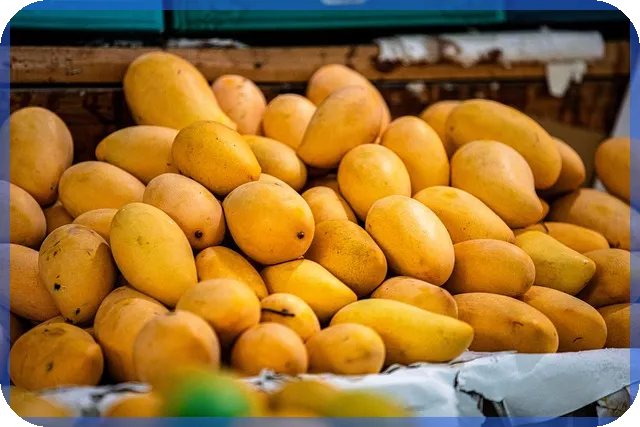 미국증시개장시간 실시간 전략과 휴장일 꼭 확인하세요