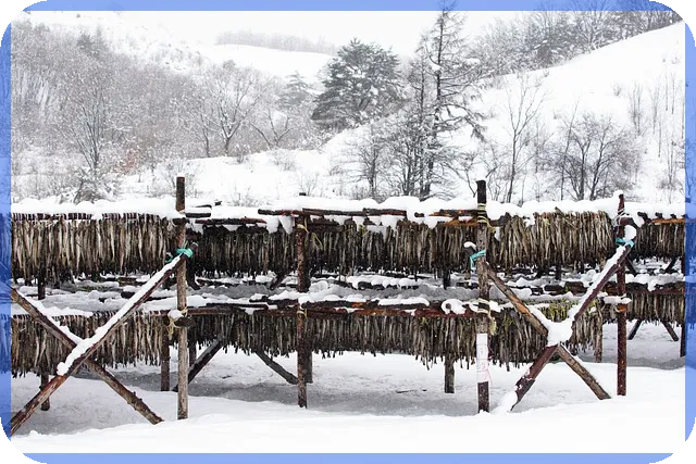 아우디A8할인 최대 혜택 확보 방법 알아보기